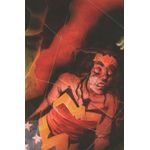 mulher-maravilha - flash 16