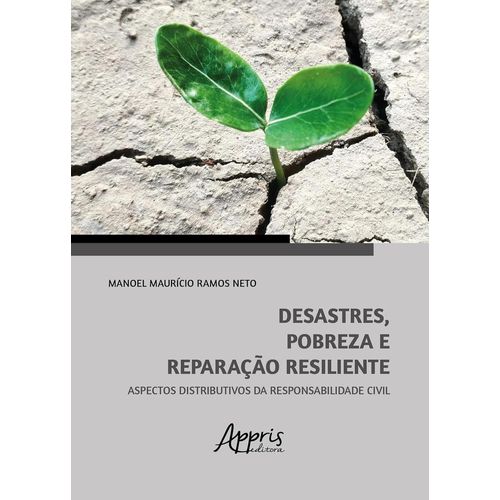 desastres, pobreza e reparação resiliente