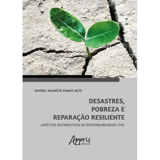 desastres, pobreza e reparação resiliente