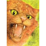 bruxa bruxa venha à minha festa bruxa bruxa venha à minha festa