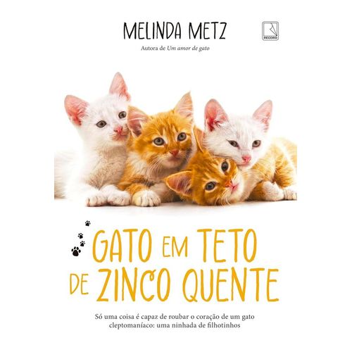 gato em teto de zinco quente