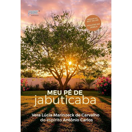 meu pé de jabuticaba meu pé de jabuticaba