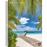 caderno universitário 12x1 240 folhas freedom