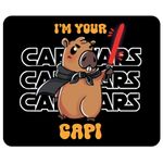mousepad-retangular---capivara--sortido----reliza