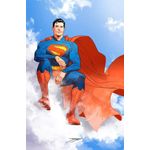 superman 23/100 - capa variante