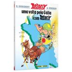 uma volta pela gália com asterix