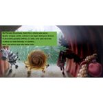 o urso rabugento o urso rabugento