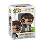 harry potter - harry potter (173) - funko