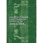um novo olhar sobre a empresa de borracha na amazônia,  1840-1930