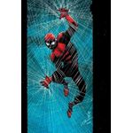 o espetacular homem-aranha 33/77