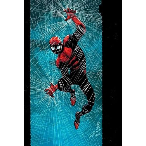 o espetacular homem-aranha 33/77
