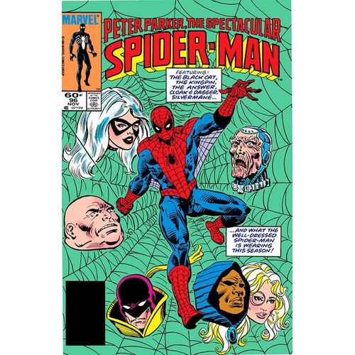 a-saga-do-homem-aranha-5--29-