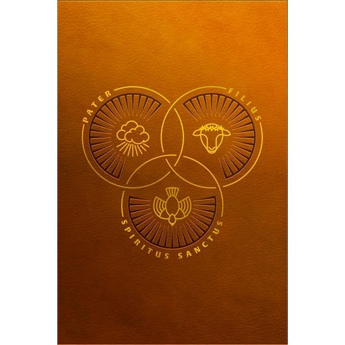 bíblia trindade - marrom - letra grande