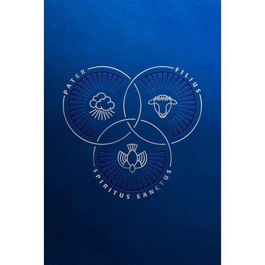 bíblia trindade - azul - letra grande