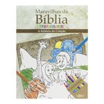 maravilhas da bíblia para colorir: a história da criação