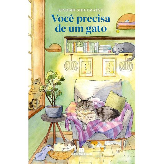 você precisa de um gato você precisa de um gato