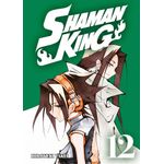 shaman king big 12