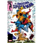 a saga do homem-aranha 6 (30)