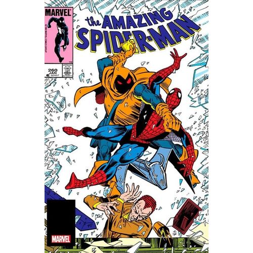 a-saga-do-homem-aranha-6--30-