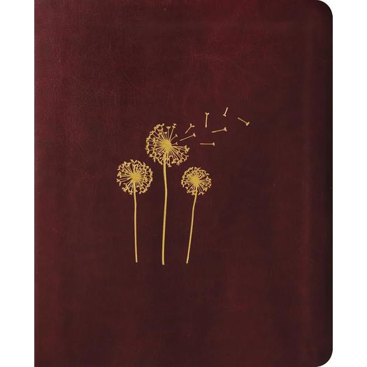 bíblia mulheres naa - uma coluna - sopro divino bíblia mulheres naa - uma coluna - sopro divino