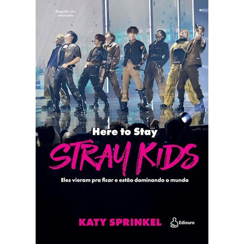 stray kids: here to stay