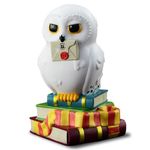 fandom box edwiges harry potter