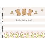 caderno cartografia espiral capycutie