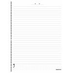 caderno-universitario-10x1-doce-romance