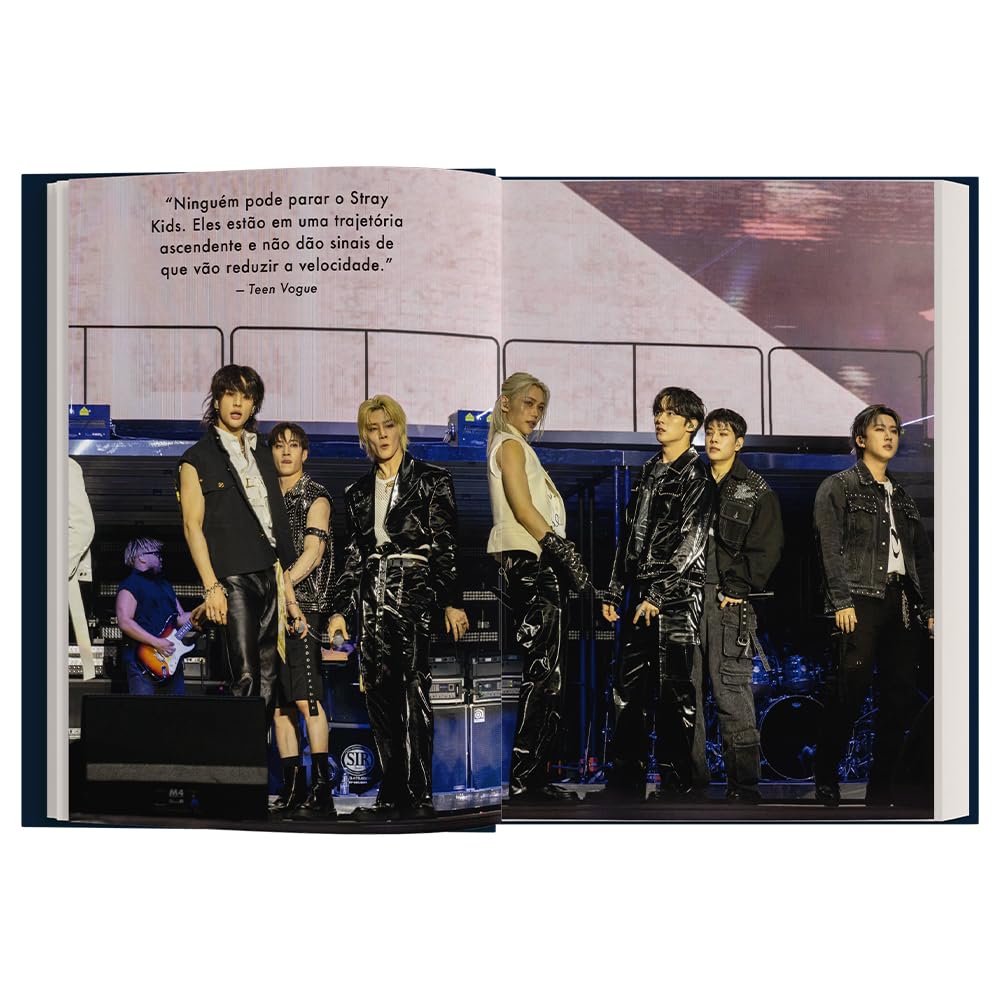 Stray Kids: Here To Stay - Livrarias Curitiba