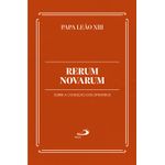 rerum novarum rerum novarum