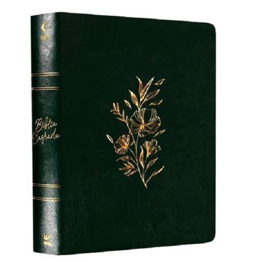 biblia-mulheres-nvt---duas-colunas---verde-musgo-floral biblia-mulheres-nvt---duas-colunas---verde-musgo-floral