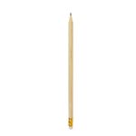 kit-caderno---lapis---regua-bio