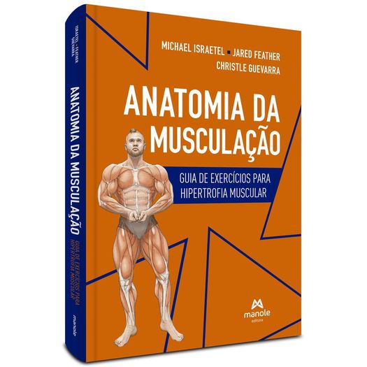 anatomia da musculação anatomia da musculação