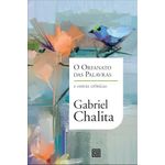 o-orfanato-das-palavras