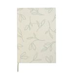 kit-caderno---lapis---regua-bio
