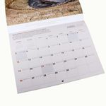 calendario-2026-terras-biblicas-28x21cm calendario-2026-terras-biblicas-28x21cm