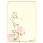 caderno-brochura-decorado-tenue-dani-fernandes