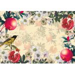 papel-adesivo-roma-dani-fernandes-58x43cm