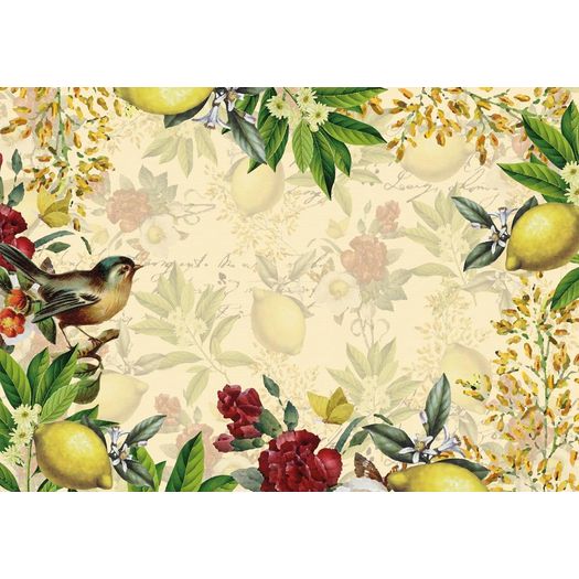 papel adesivo verbena e limão dani fernandes papel adesivo verbena e limão dani fernandes