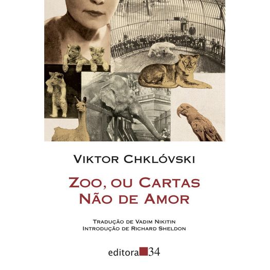 zoo, ou cartas não de amor zoo, ou cartas não de amor