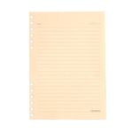 refil-caderno-organizador-pautado-40-folhas-a5-polen