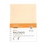 refil-caderno-organizador-pautado-40-folhas-a5-polen