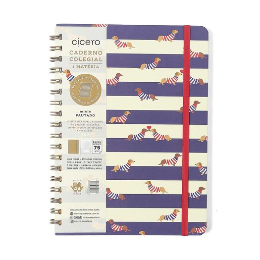 caderno colegial 1x1 80 folhas capa dura praia cachorros caderno colegial 1x1 80 folhas capa dura praia cachorros