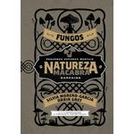 natureza-macabra--fungos