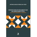 institutos fundamentais do processo civil
