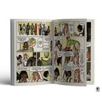 cosplayers - fantasiando a vida