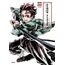 demon slayer artbook: animê