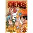 one piece a - novel