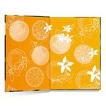 a casa dos espíritos