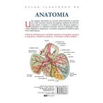 atlas ilustrado de anatomia atlas ilustrado de anatomia